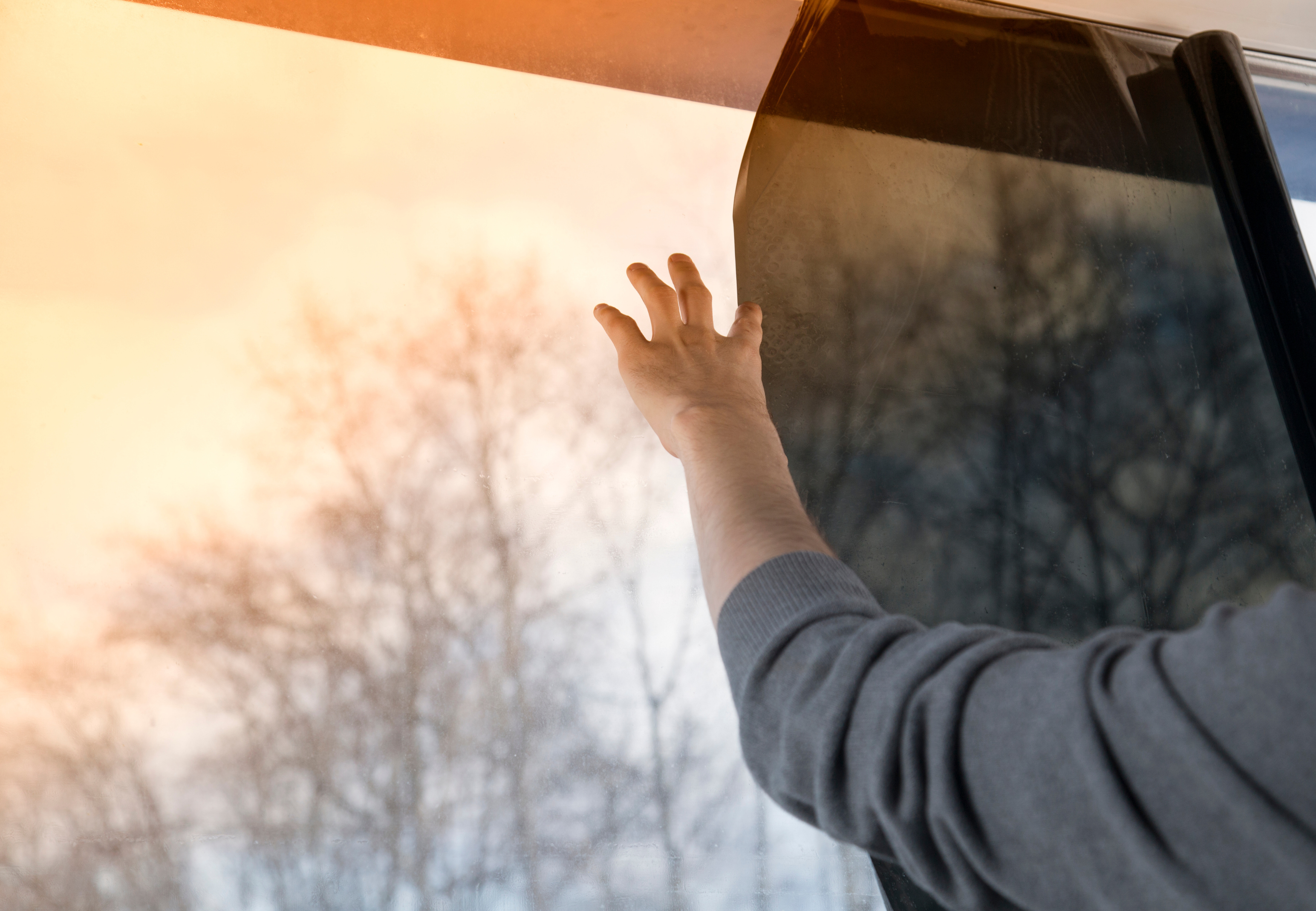 Person holding a partially unrolled dark roll of window film over a window . Trees and sunlight behind window 